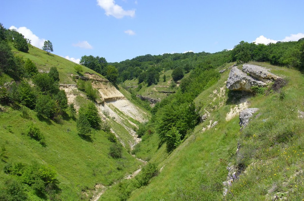 Pârâul Bobii (Gârbova de Sus) 